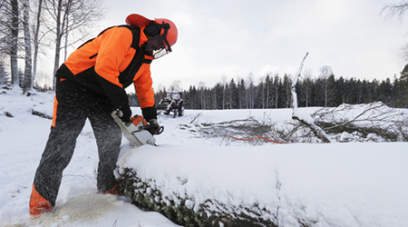 commercial tree work bolton
