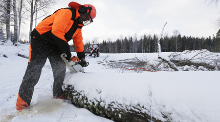 commercial tree work