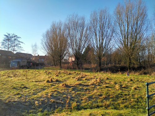 tree surgery for lancashire wildlife trust - image 2